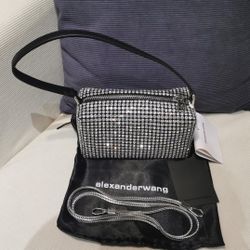 Alexander Wang Heiress Pouch in Crystal Mesh