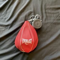 Everlast Speed Bag