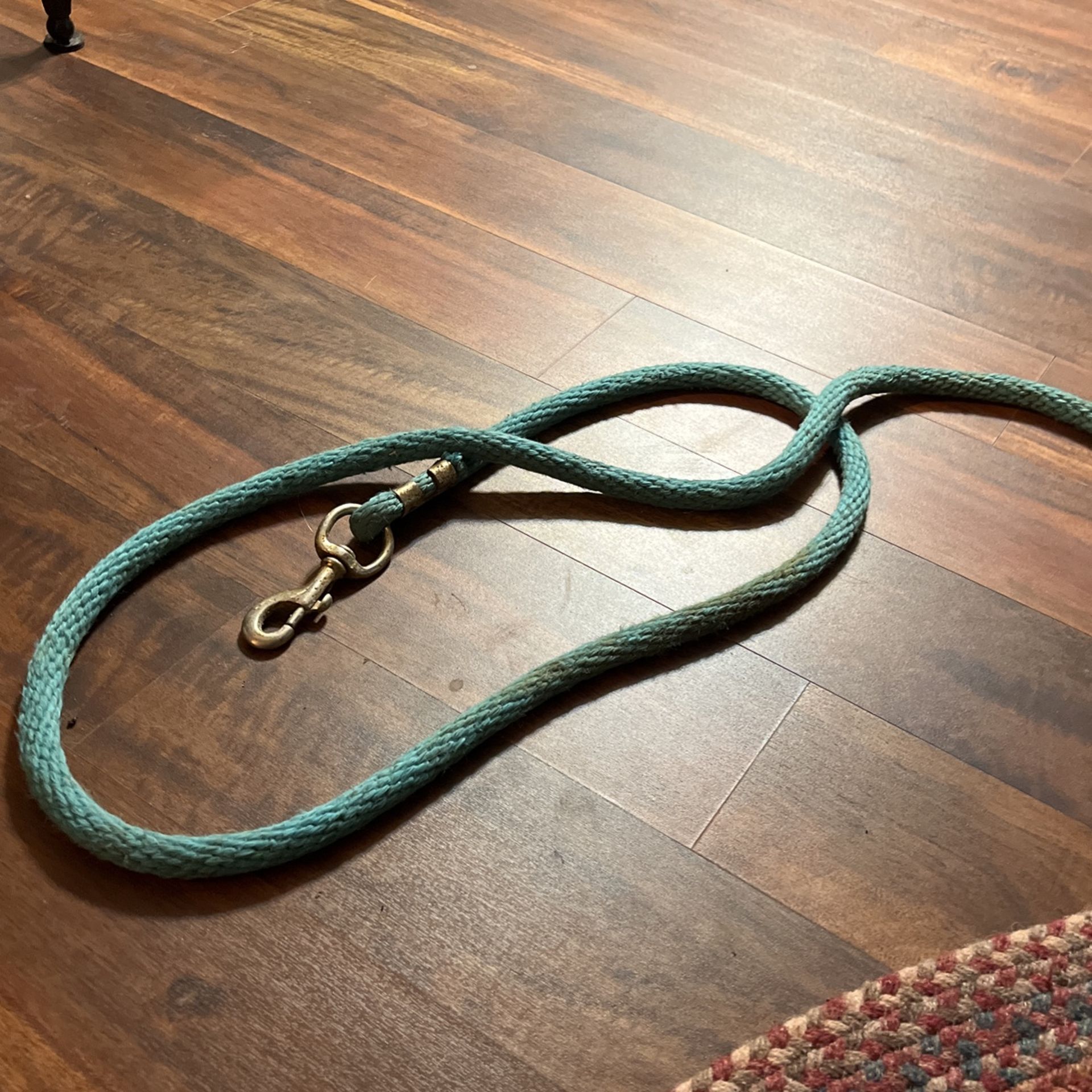 Turquoise Lead Rope