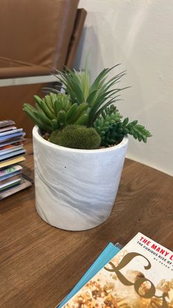 Faux Succulent Arrangement in Marble Pot