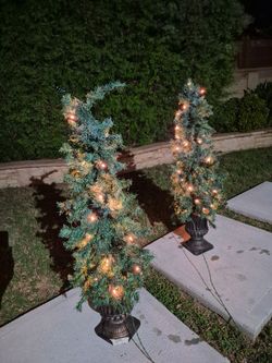 Xmas trees