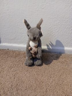 Kangaroo with Mom