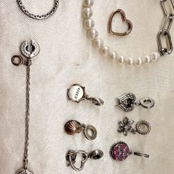 Pandora Charms 