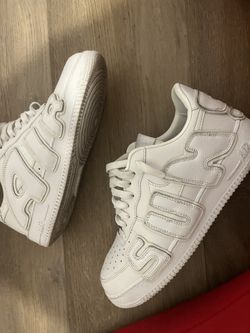 Catus Flea Market Af1