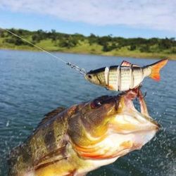 Jointed Fishing Lures 5pack Lot With Box 