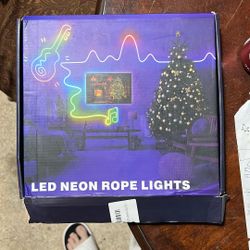 LED neon Rope Lights
