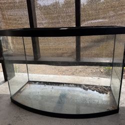 glass tank