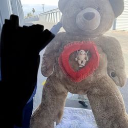 Big Bear  5ft Tall Only Pick Up , No Delivery Cash Only