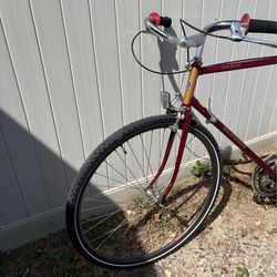 Schwinn Traveler