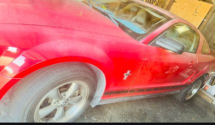 Ford mustang