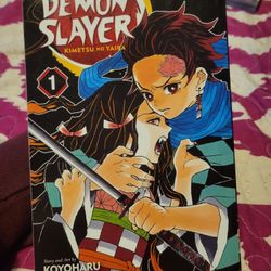 Demon Slayer Kimetsu No Yaiba Volume 01. Manga