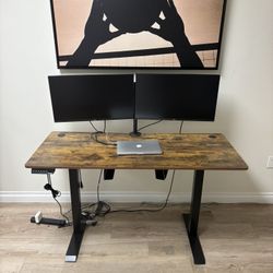 Computer Monitors and Stand 