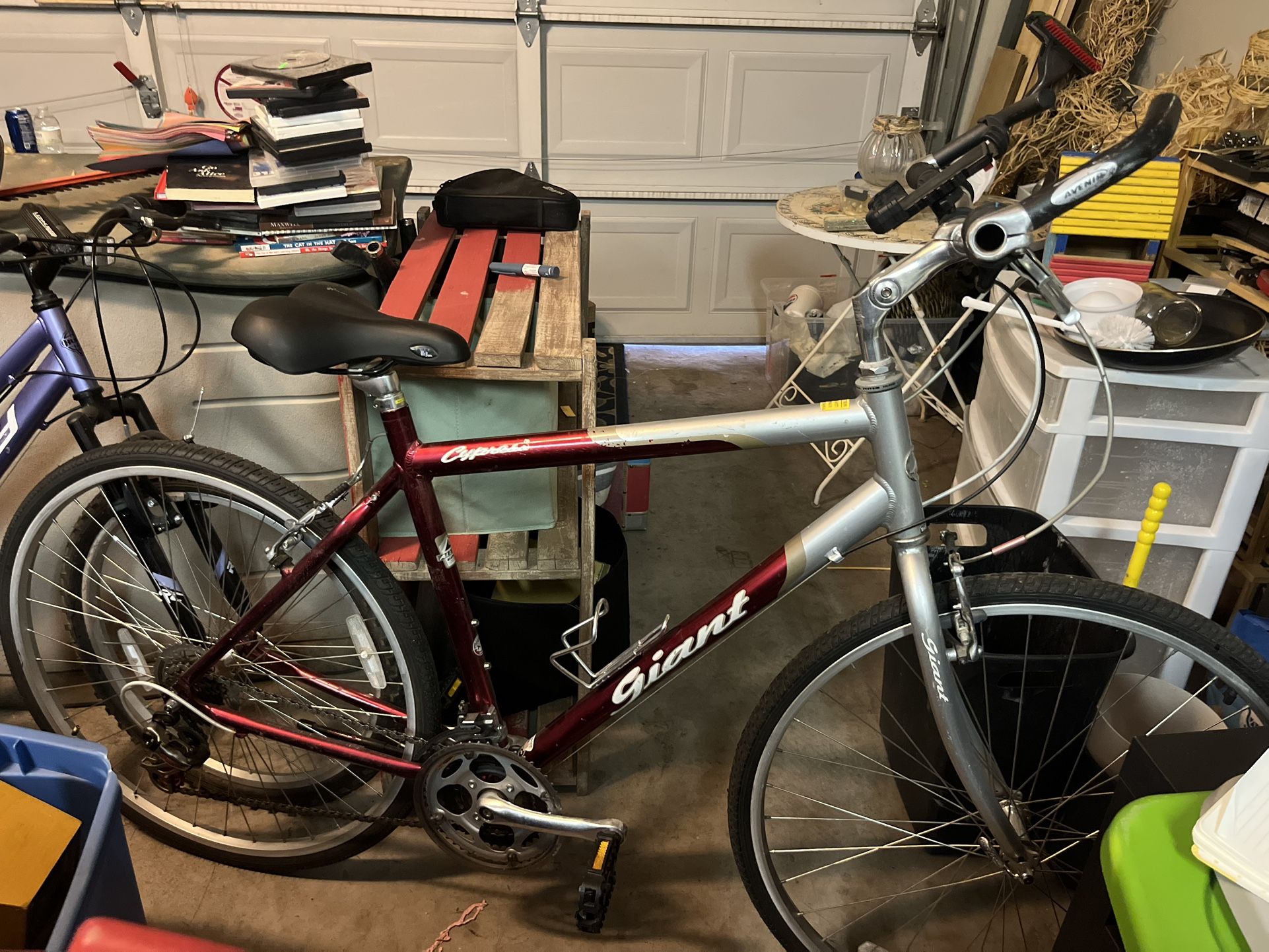 Giant Cypress 27” Bike