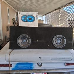 Speaker 