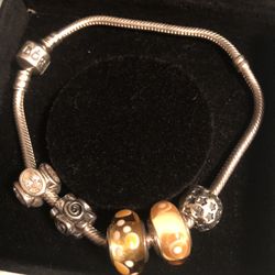 Bracelet And Charms  8’ Long