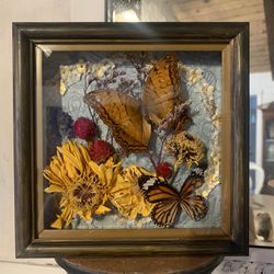 BUTTERFLY shadow Box