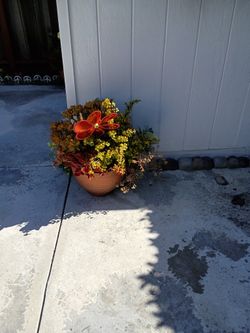 Succulents In Pot