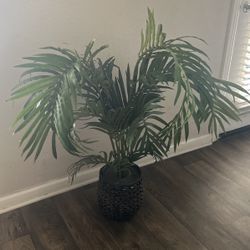 Fake Plant 