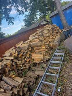 Firewood