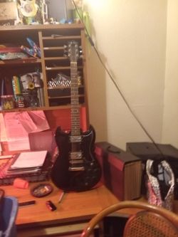 Jay turser jt-50 custom
