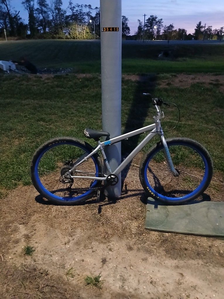 Custom 1 of 1 fast Flyer