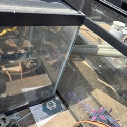 2 Fish Tank