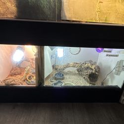 Single bearded dragon cage With divider Inside 