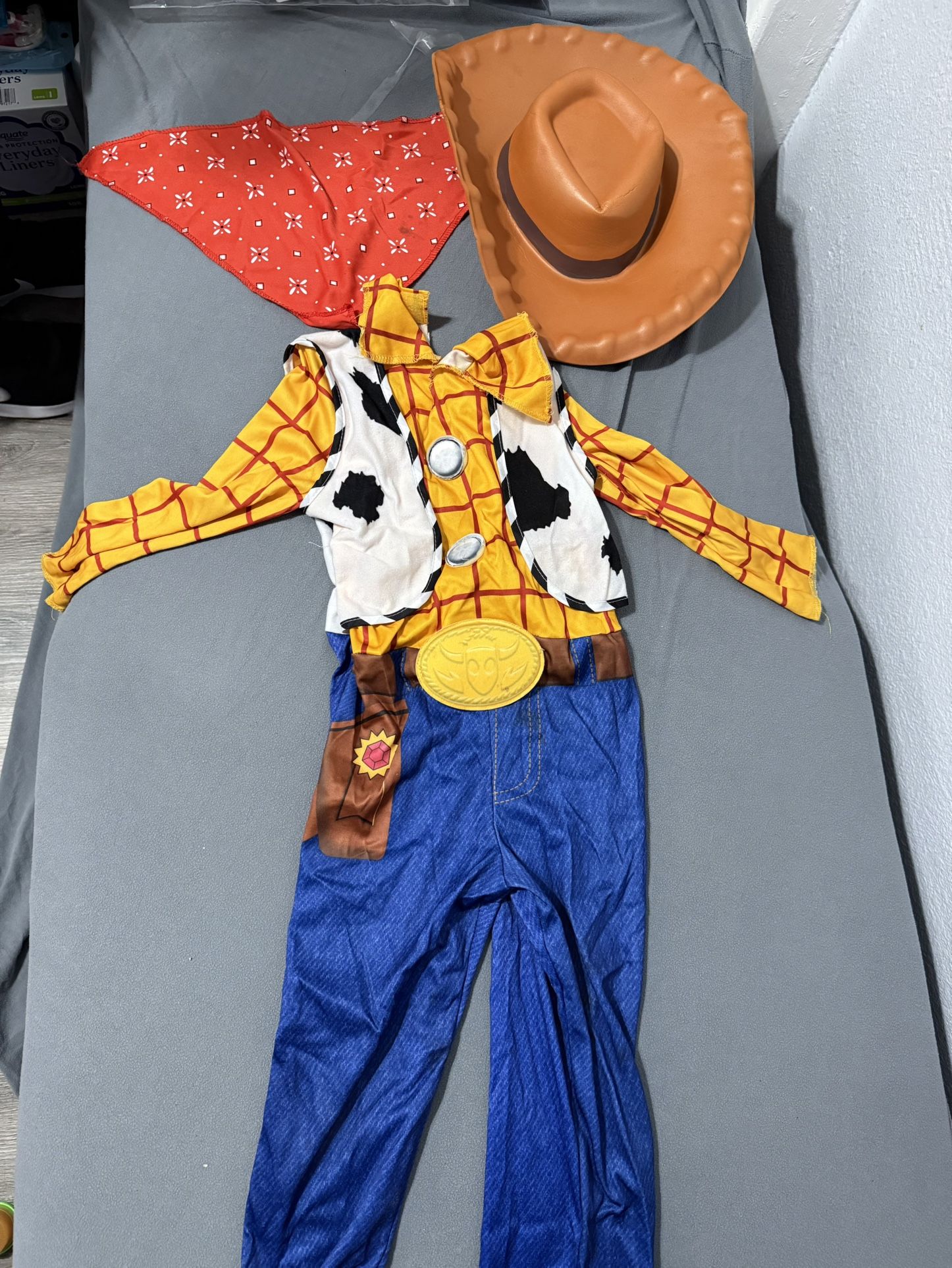 Kids Woody Costume