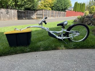 WeeRide Co-pilot Bike Trailer 