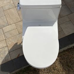 Toilet Bowl And Seat