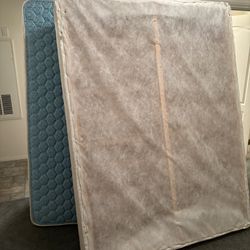 Mattress And Box Spring. - Great Condition fREE 