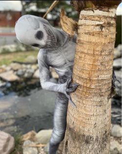 Rake Morph costume