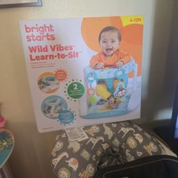 Learn To Sit Baby Chair (New)