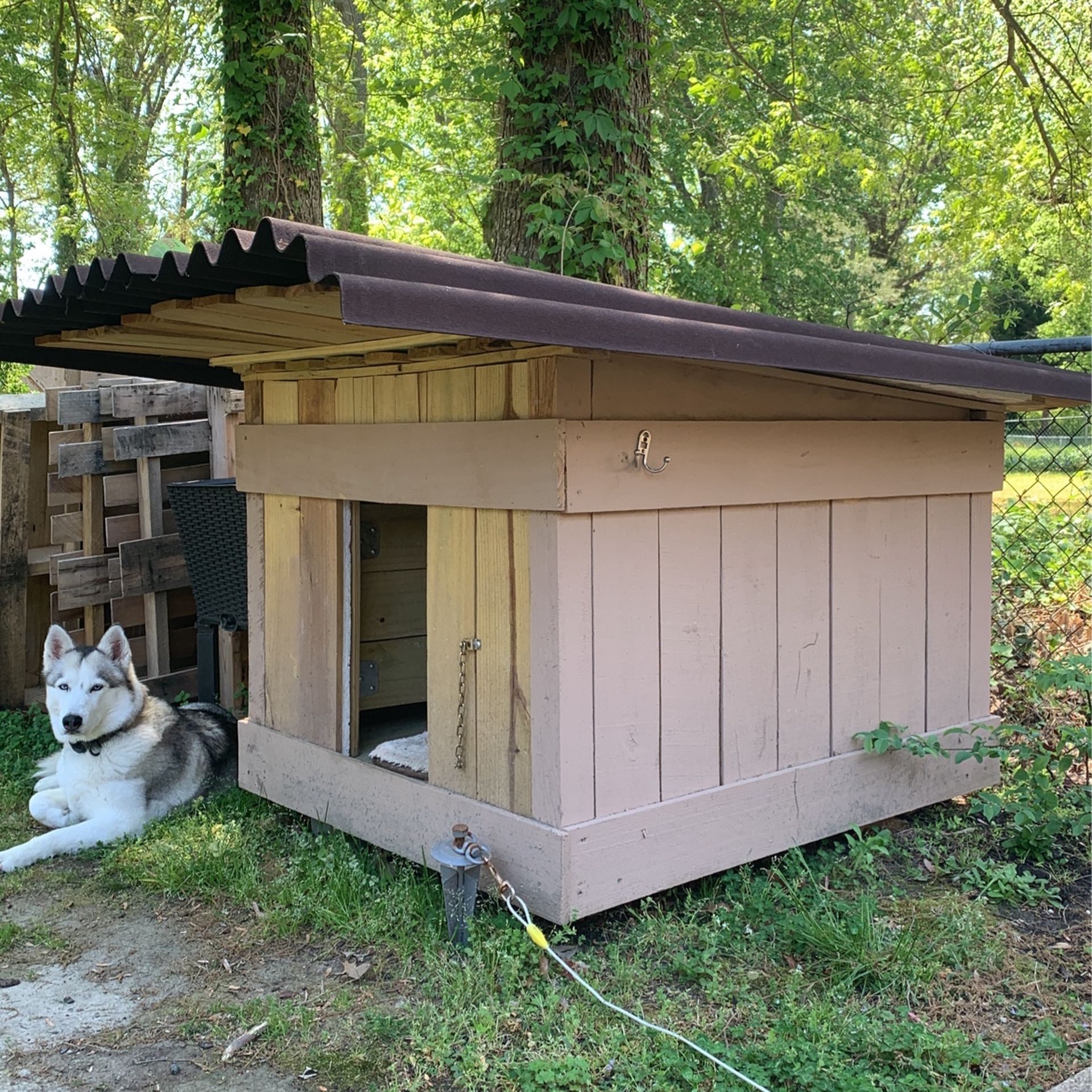 Dogs House 