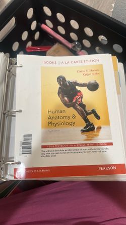 Human Anatomy and Physiology 10th edition