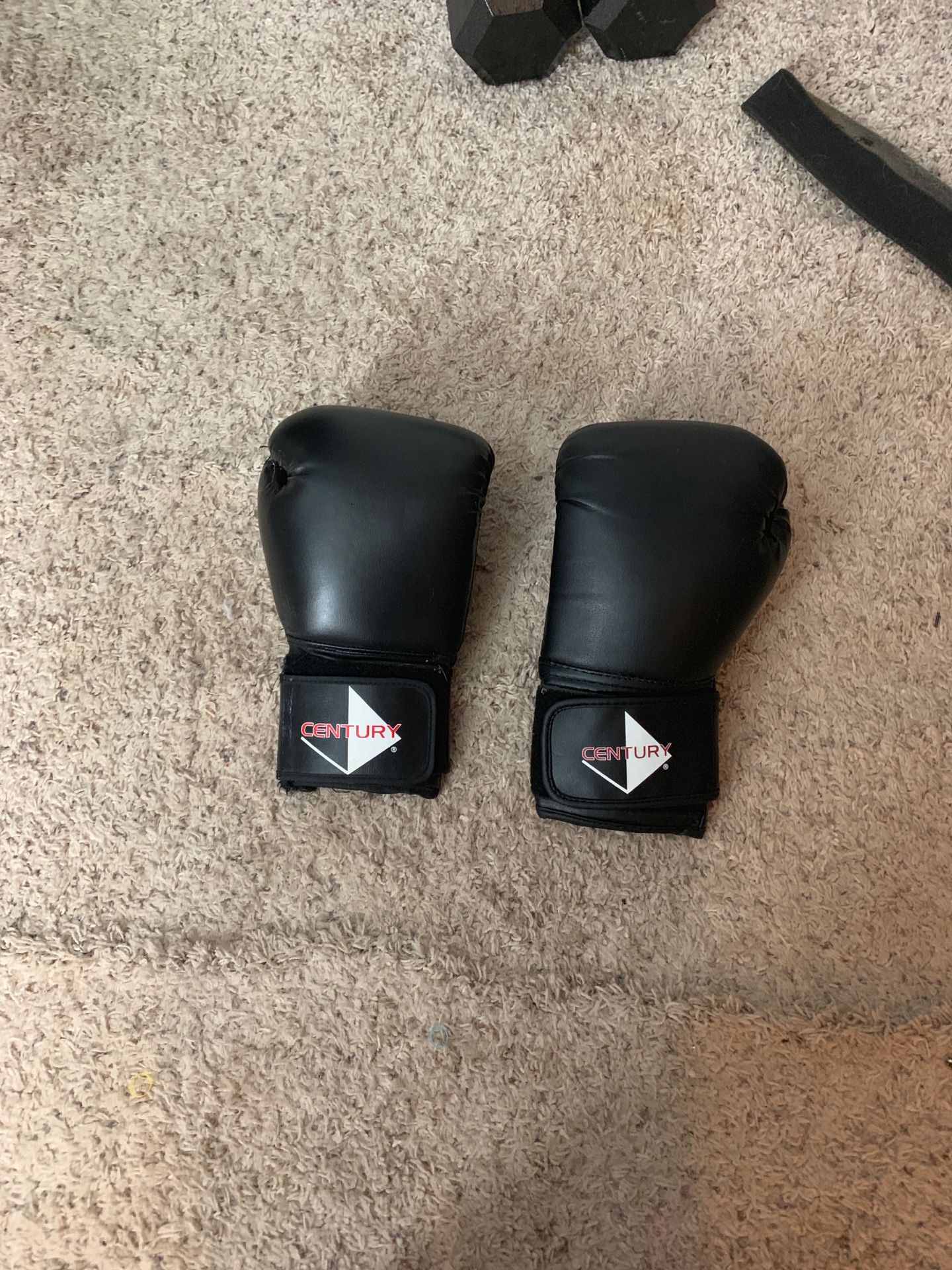 Century boxing gloves