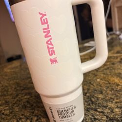 Heart Valentines Stanley 