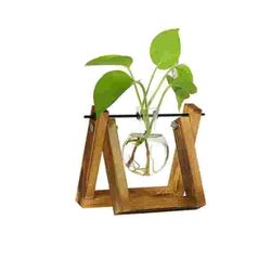 Wooden Flower Stand Glass Planter Wooden Shelf Desktop Hydroponics Plants Vase
