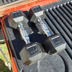 10lb rubber hex dumbbells