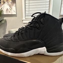 Air Jordan Retro 12