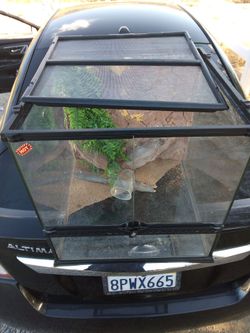 Terranium for reptiles