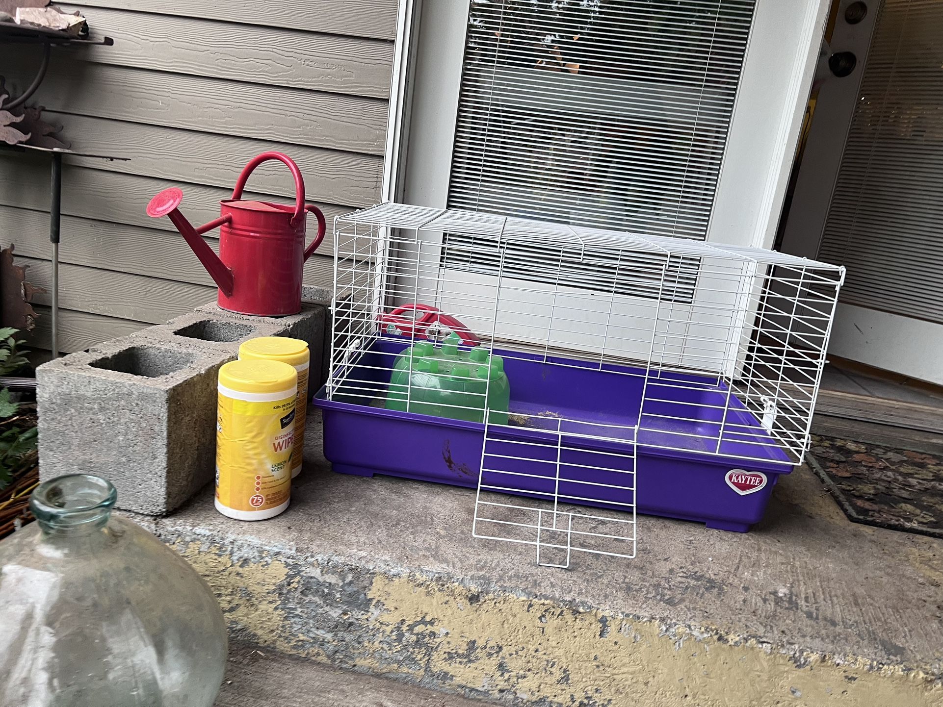 Gerbil Hamster Or Hedgehog age
