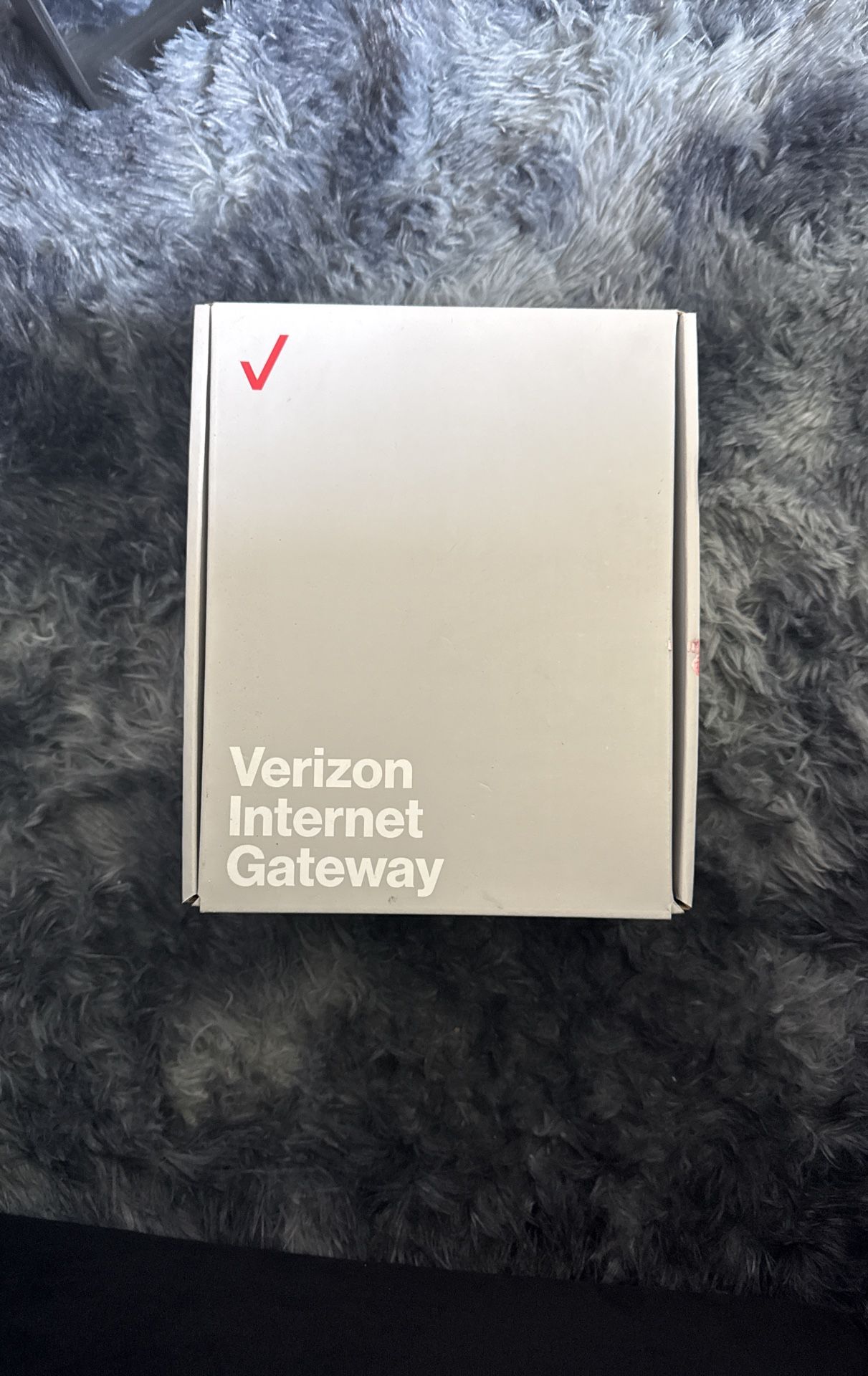 Verizon Internet Gateway