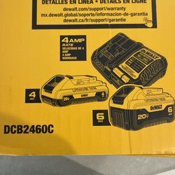 DEWALT 20V MAX Lithium-Ion 6.0Ah and 4.0Ah Battery and Charger Starter Kit