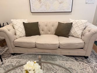 Joss and main Feather sofa