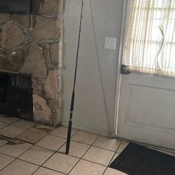 Fishing Rod