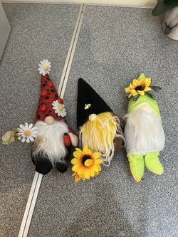 3 Gnomes