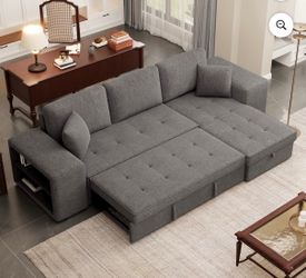 Pull out sofa sleeper
