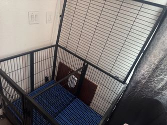 Large Heavy-Duty Pet Playpen 🐾