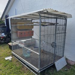 Bird Cage 